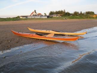 petrels westcoast guillemot kayaks